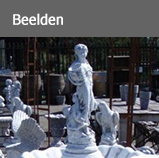 Knop beelden